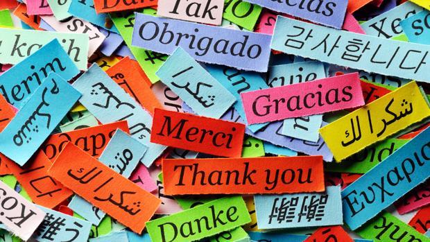 gracias